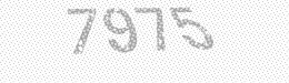 Visual security code — type the characters shown in the image
